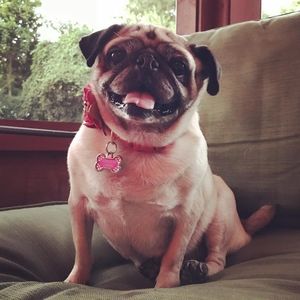 Meet your Posher, June